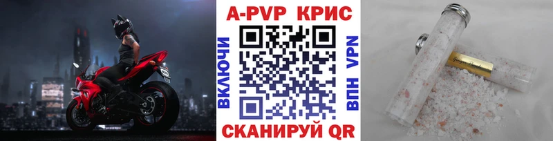 дарнет шоп OMG ССЫЛКА Alfa_PVP СК Тырныауз