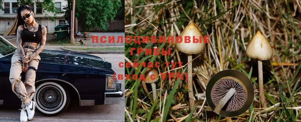 jwh Алексеевка