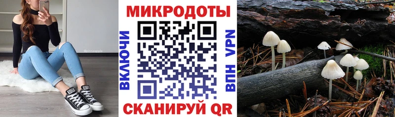 Псилоцибиновые грибы GOLDEN TEACHER  Тырныауз 